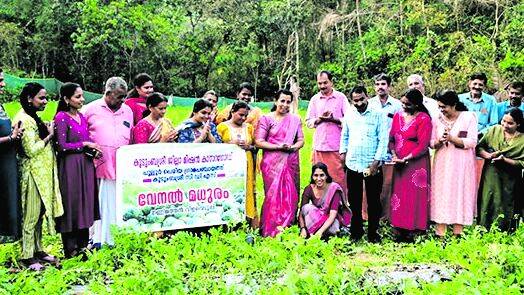 wattet-melon