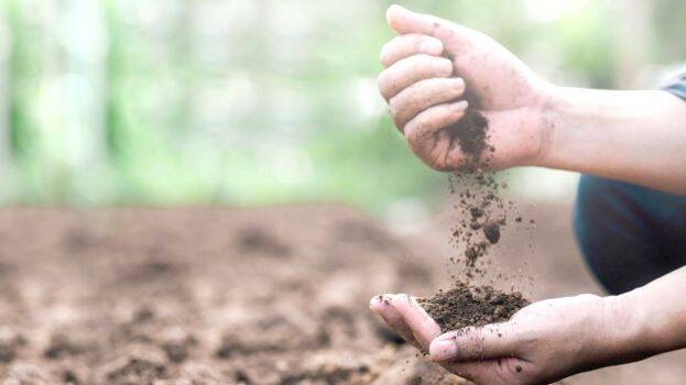 soil
