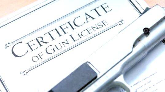 gun