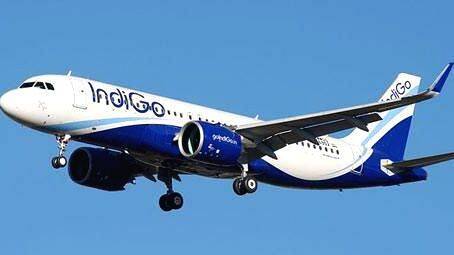 indigo