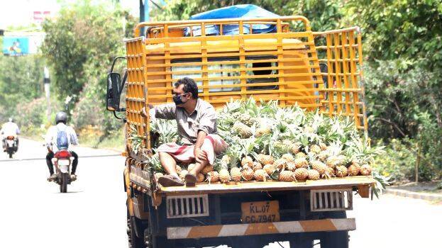 pine-apple