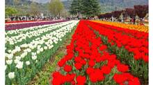 pahalgam-now