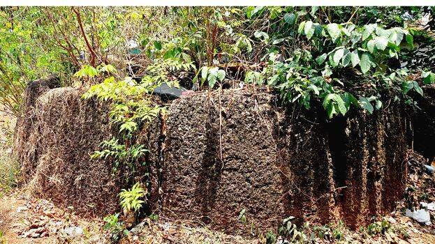 mahasila