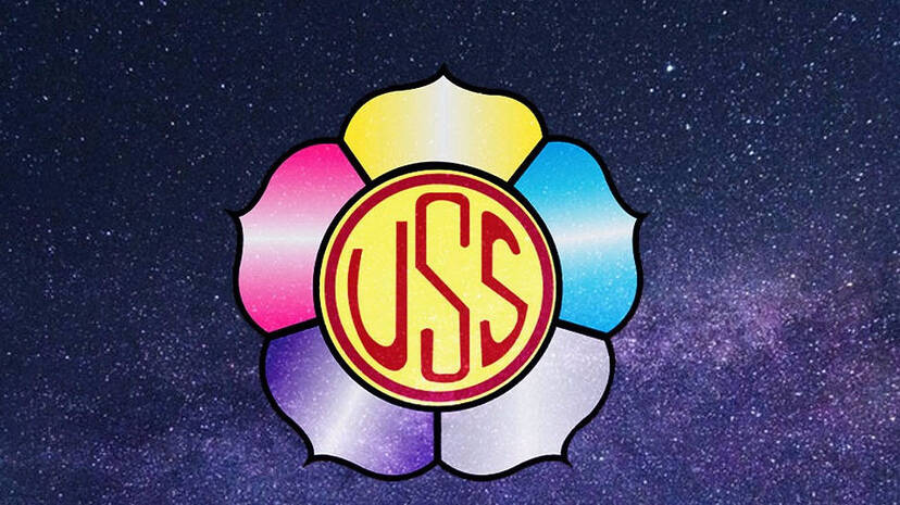 vss