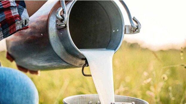 milk