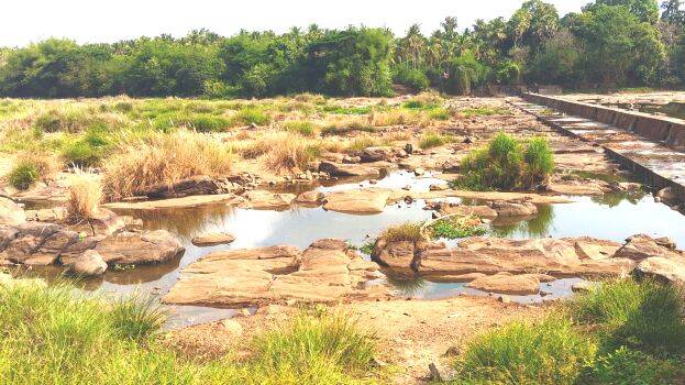 puzha