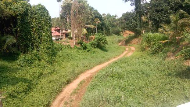 varattar