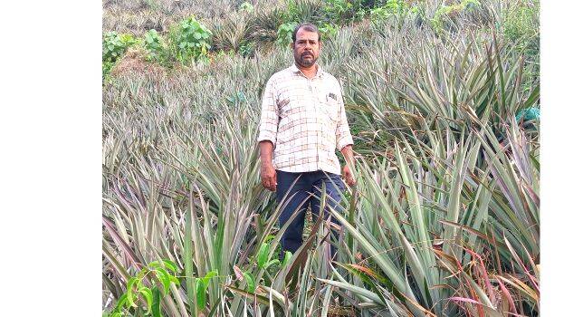 sajith