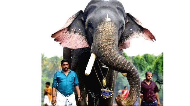 sivaraju