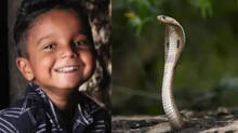 snake-bite