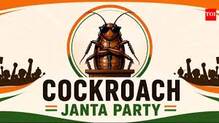 cockroach