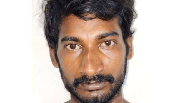 dipu