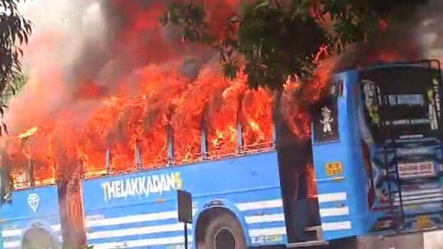 bus-1