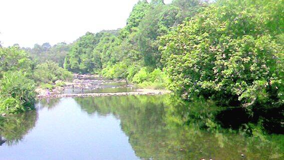 cheenkanni