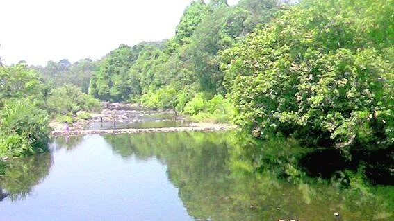 cheenkanni
