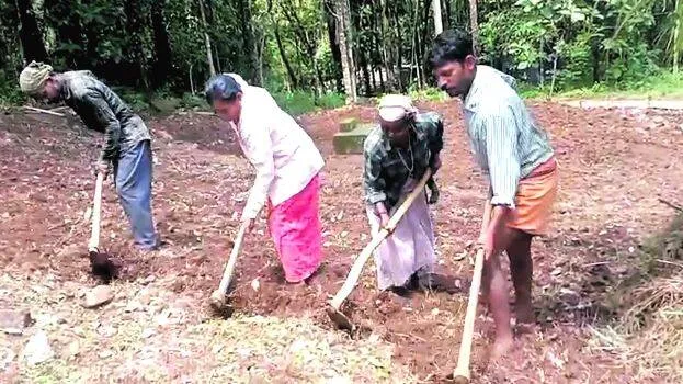 punam punam