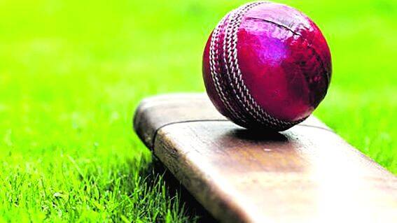 cricket