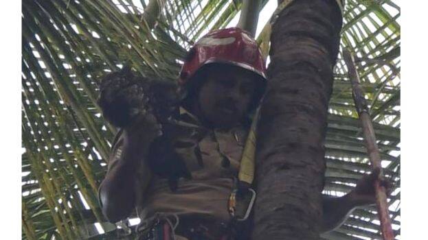 kannur-parunth