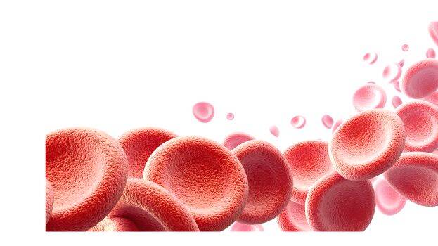 thalasemia
