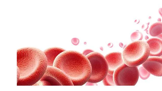 thalasemia