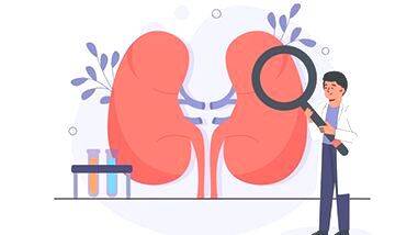 kidney