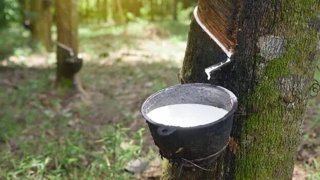 rubber