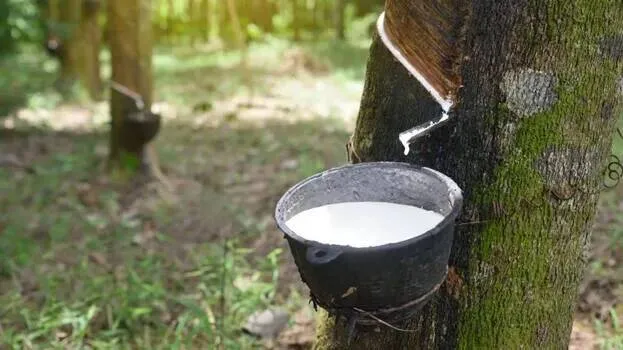 rubber