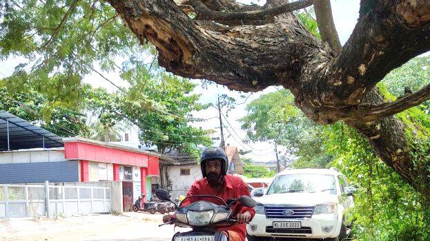 tree