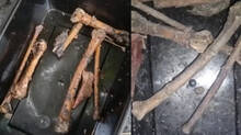 bones-and-a--underwear-found-thrissur-well