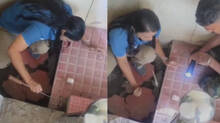 viper-in-vithura-taluk-hospital