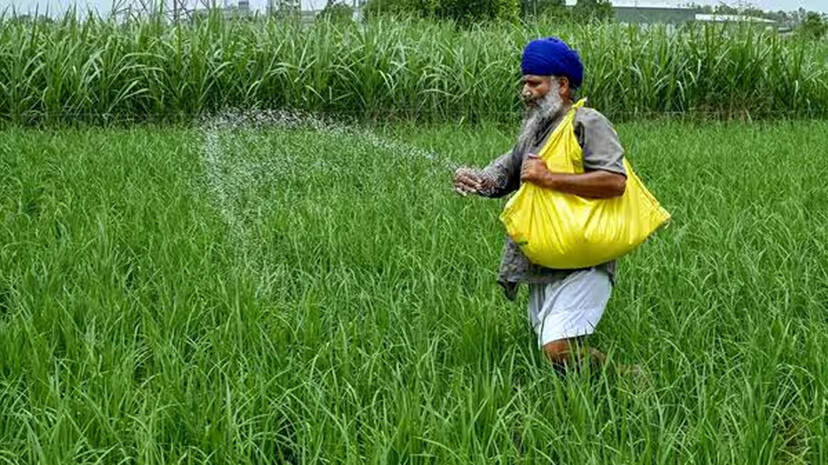 fertilizer