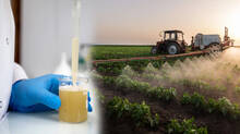 fertilizers-for-crops-post-america-iran-war