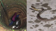 snakemaster-new-episode
