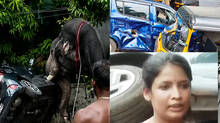woman-escaped-from--thrissur-elephant-attack
