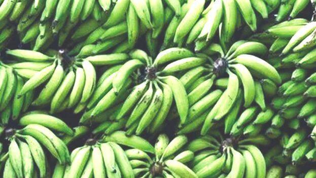 banana