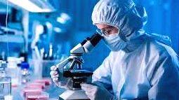 lab
