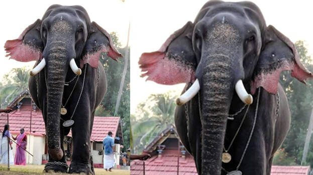 sivarajan-