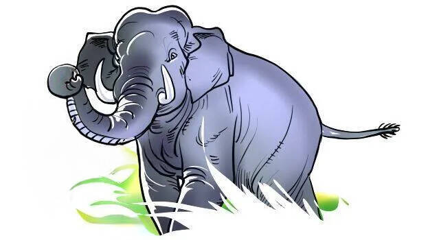 aana
