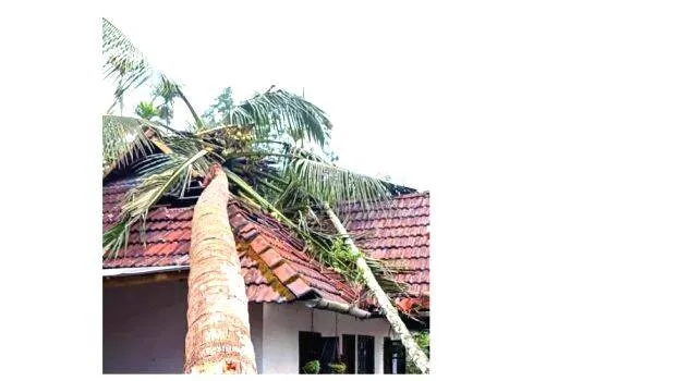 veedu veedu