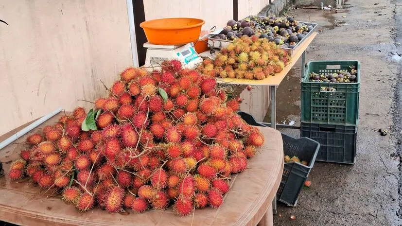 rambuttan