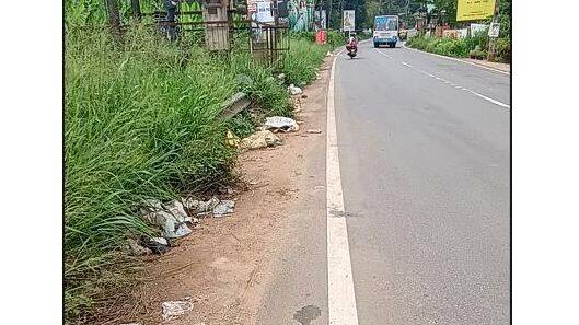 malinyam