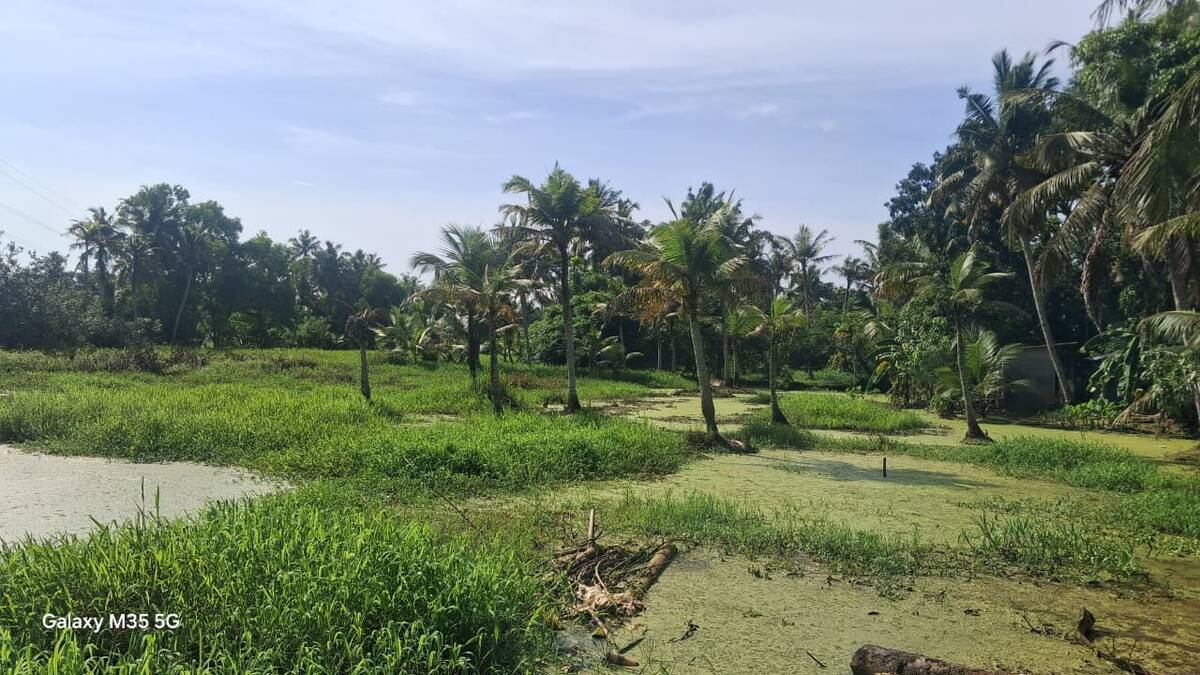 landf