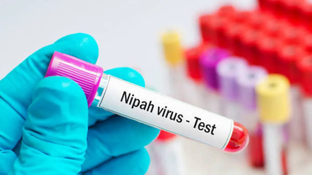 -nipah -nipah