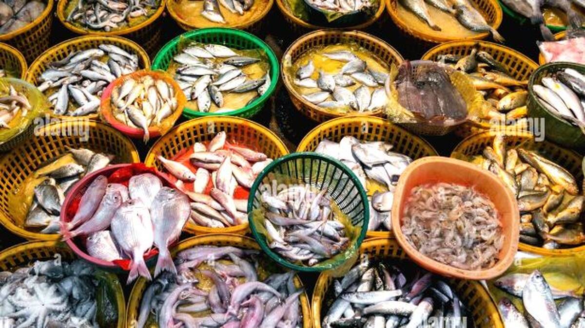 fish