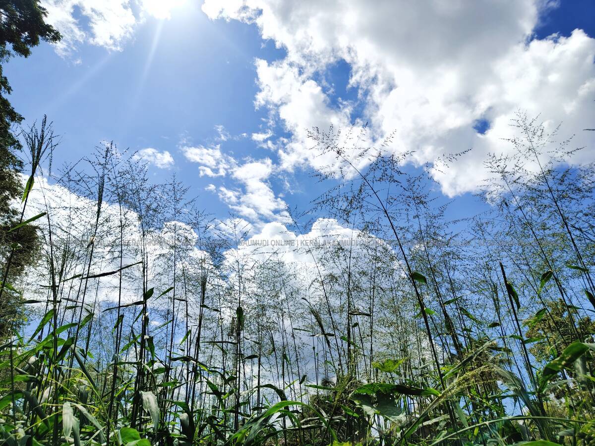 Kerala Kaumudi Photo Gallery