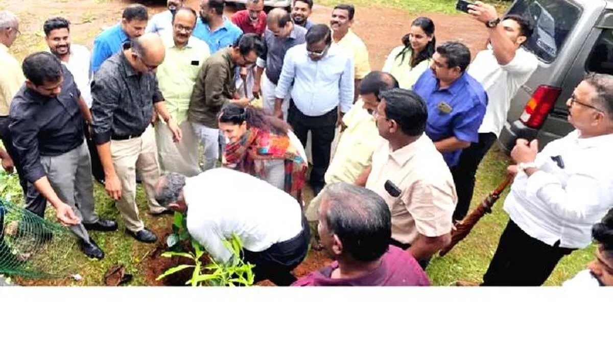 kodathi