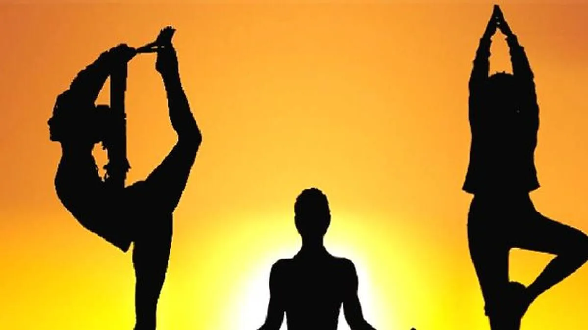 yoga yoga