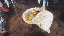 skeleton-found-alappuzha