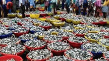 fish-price-rocketing-in-kerala