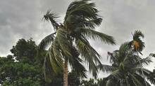 kerala-rain
